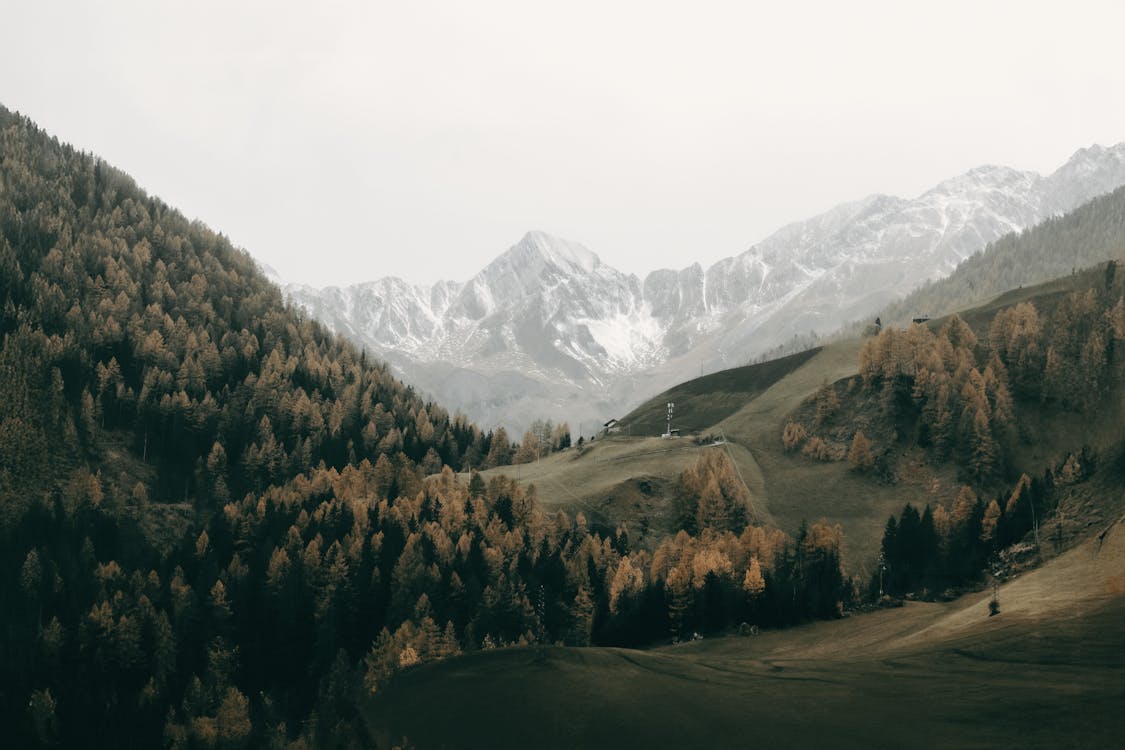 PROJEK Stk Design Library Image 2