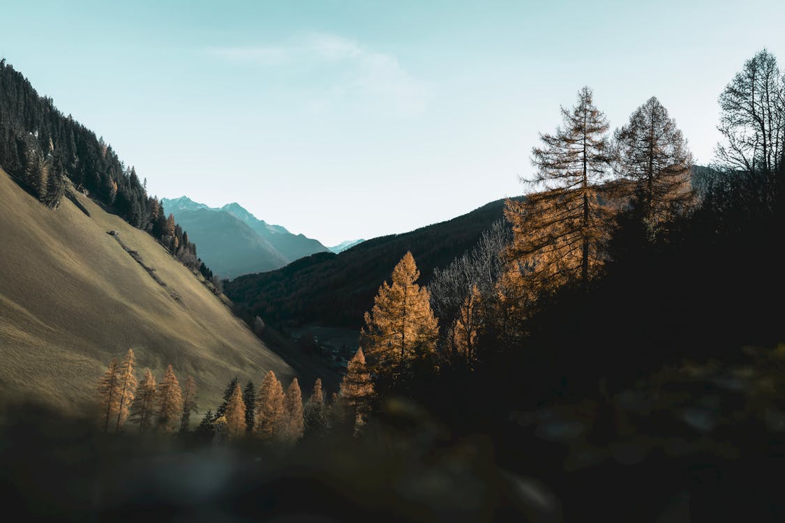 PROJEK Stk Design Library Image 6